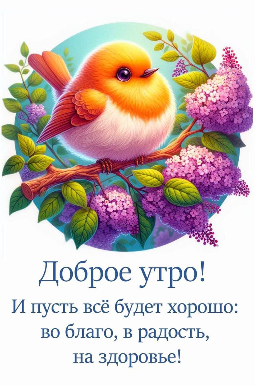 Доброе утро! И пусть всё будет хорошо: во благо, в радость, на здоровье!