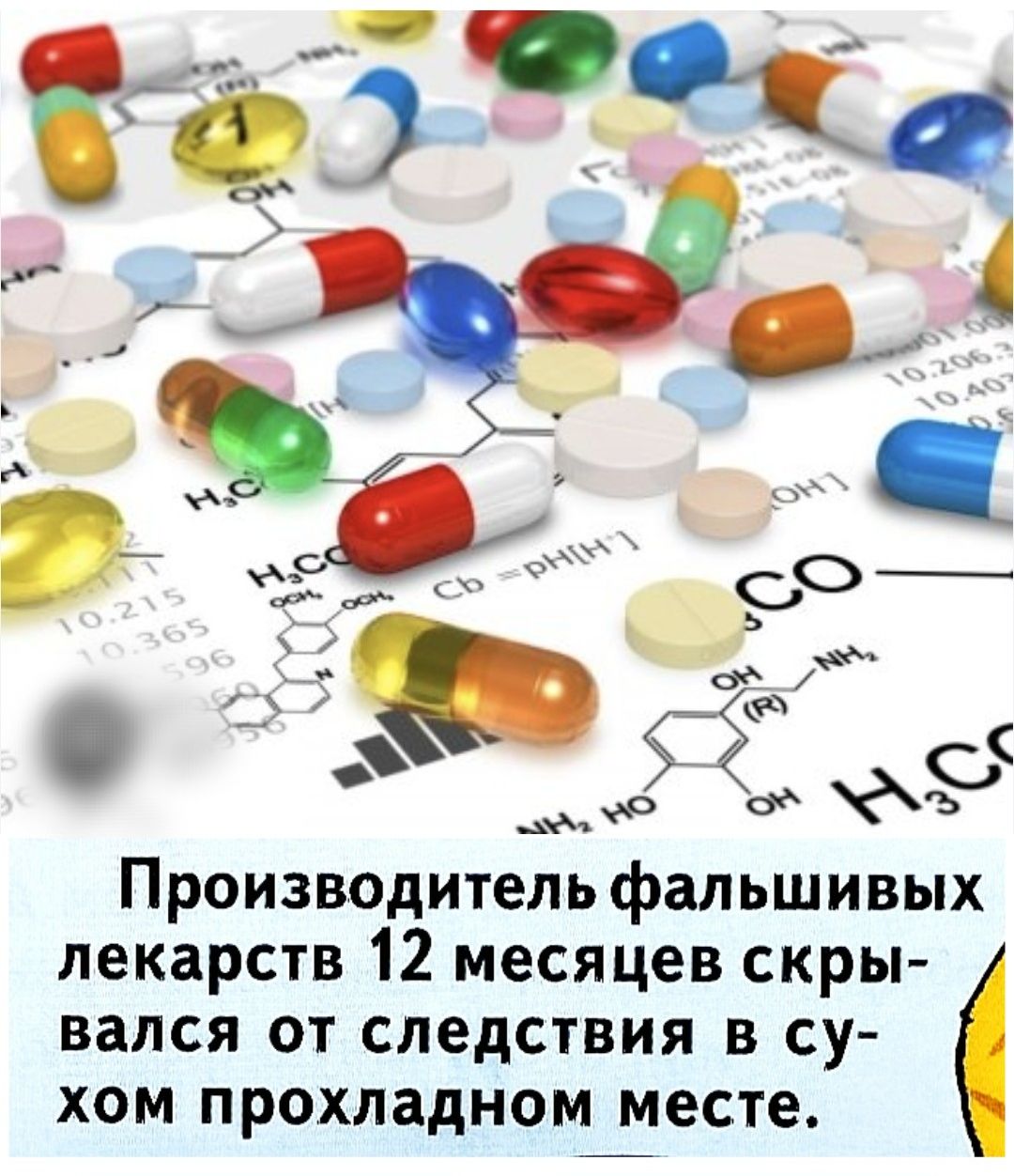 Производитель фальшивых лекарств 12 месяцев скрывался от следствия в сухом прохладном месте.