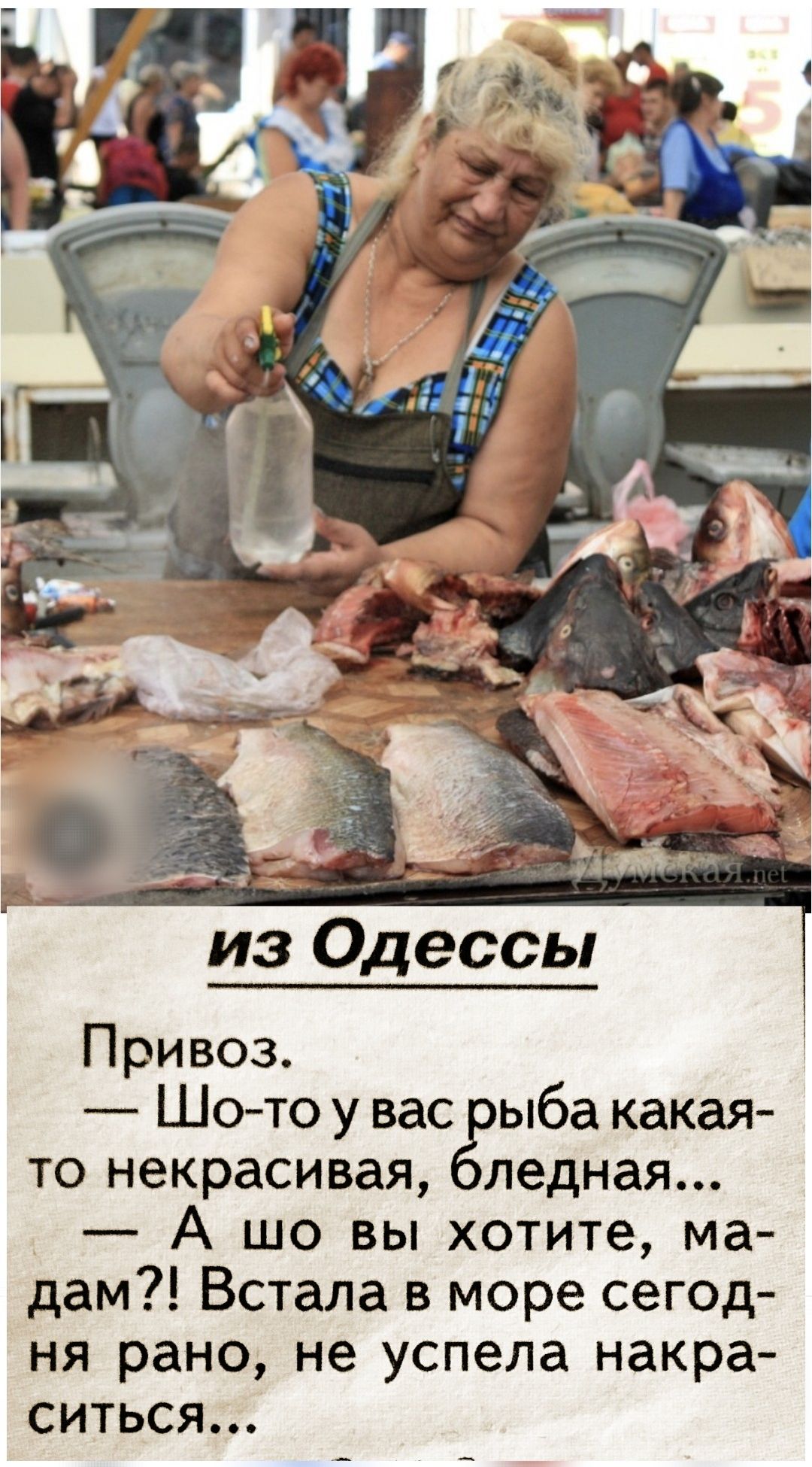 Из Одессы

Привоз.
— Што-то у вас рыба какая-то некрасивая, бледная...
— А шо вы хотите, мадам?! Встала в море сегодня рано, не успела накраситься...