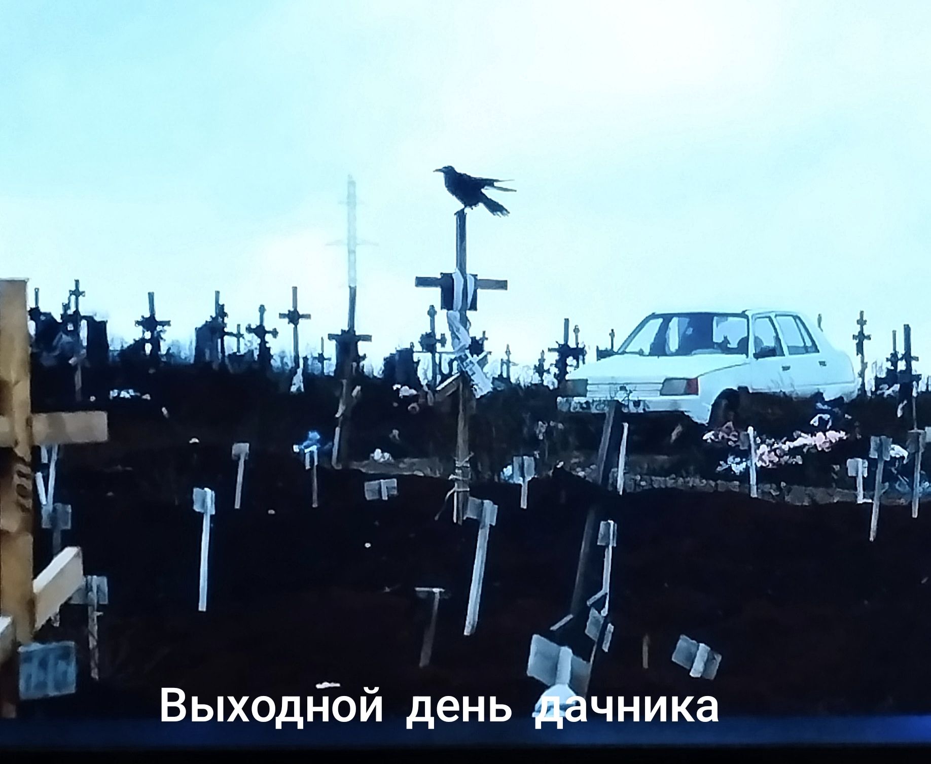 Выходной день дачника