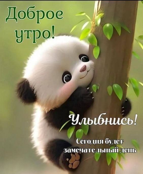 Доброе утро! Улыбнись! Сегодня будет замечательный день.