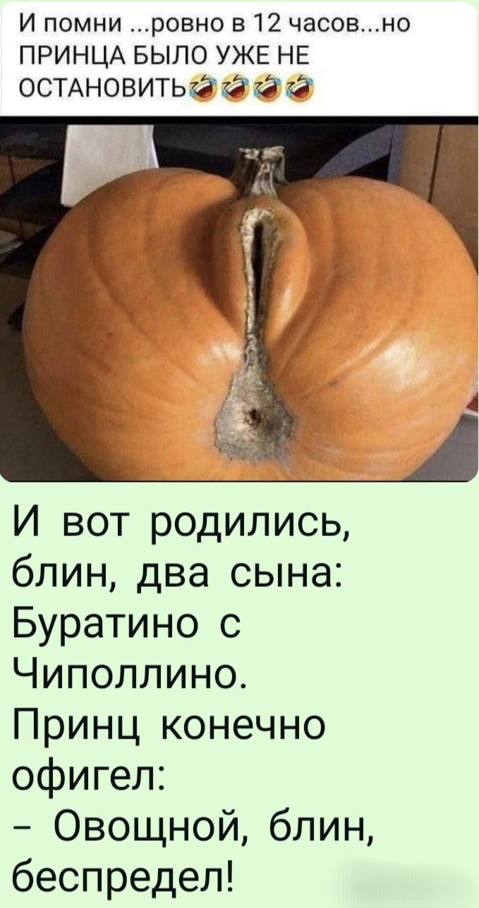 И помни ...ровно в 12 часов...но ПРИНЦА БЫЛО УЖЕ НЕ ОСТАНОВИТЬ🤣🤣🤣🤣

И вот родились, блин, два сына: Буратино с Чиполлино. Принц конечно офигел: 
– Овощной, блин, беспредел!