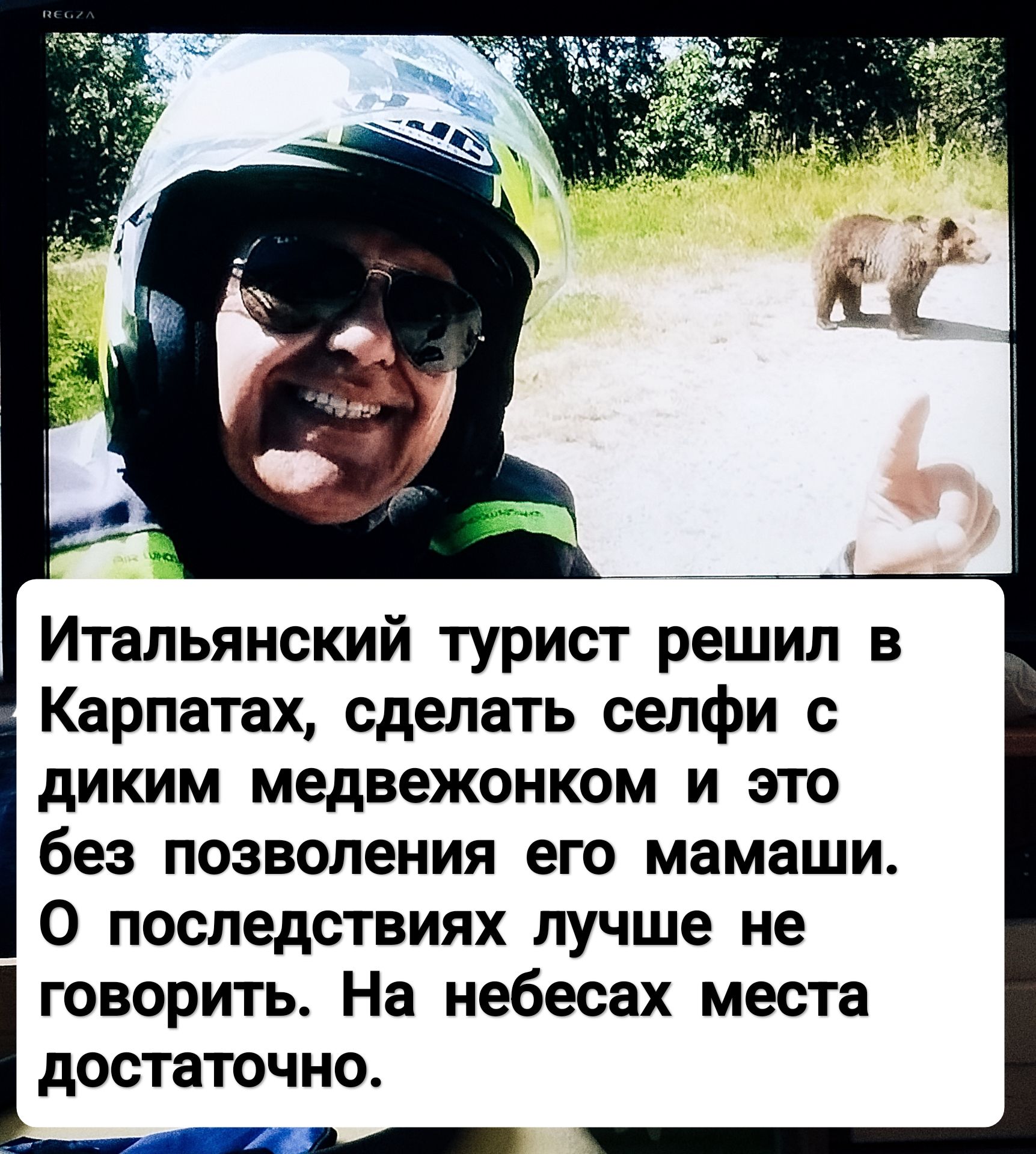 Итальянский турист решил в Карпатах, сделать селфи с диким медвежонком и это без разрешения его мамаши. О последствиях лучше не говорить. На небесах места достаточно.