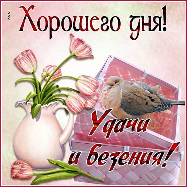 Хорошего дня!
Удачи и везения!