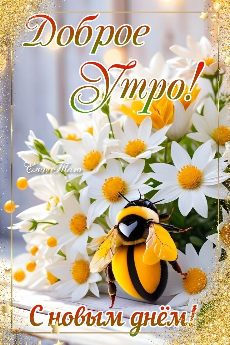 Доброе утро! С новым днём!