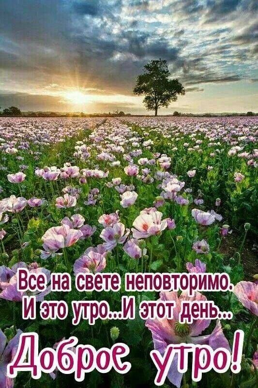 Все на свете неповторимо. И это утро... И этот день... Доброе утро!