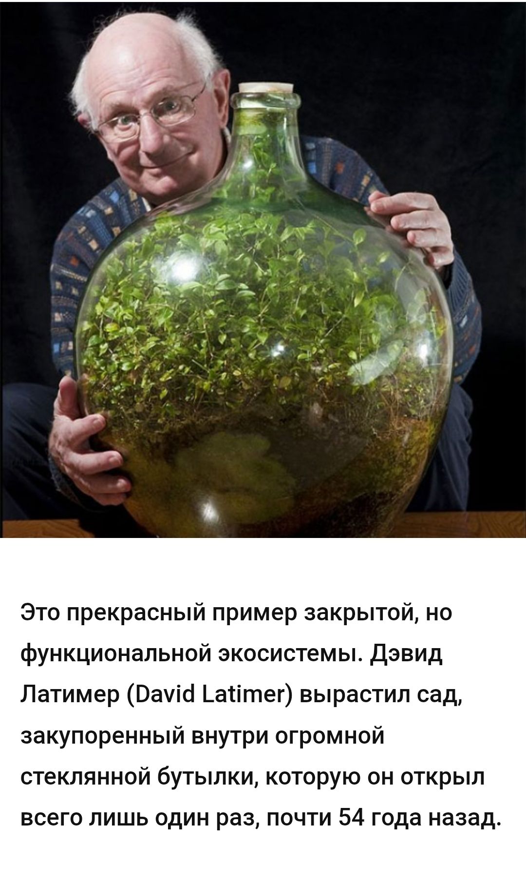 Это прекрасный пример закрытой, но функциональной экосистемы. Дэвид Латимер (David Latimer) вырастил сад, закупоренный внутри огромной стеклянной бутылки, которую он открыл всего лишь один раз, почти 54 года назад.