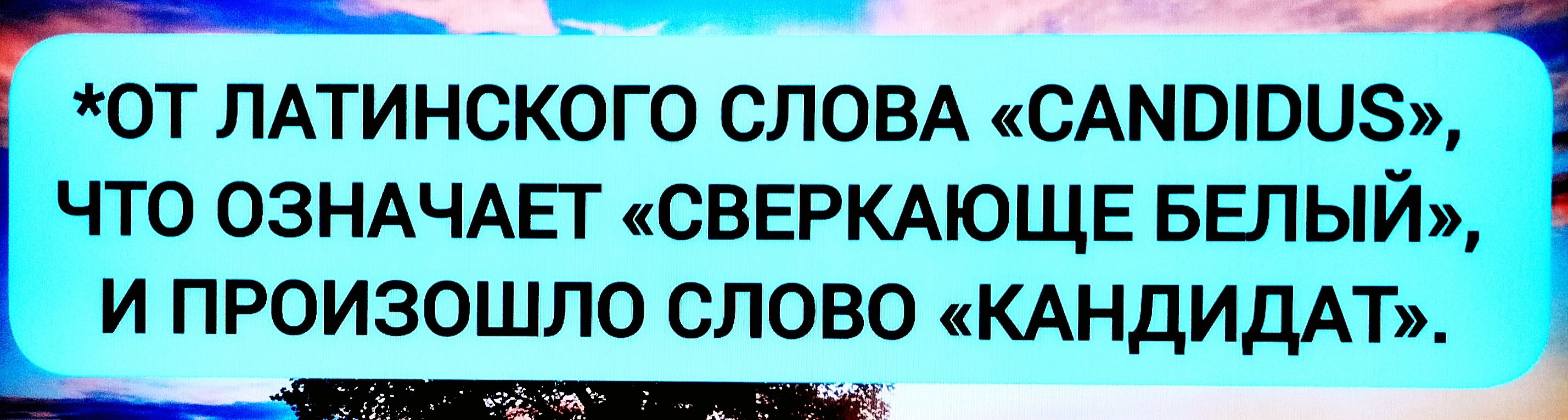 *От латинского слова «CANDIDUS», что означает «сверкающе белый», и произошло слово «кандидат».