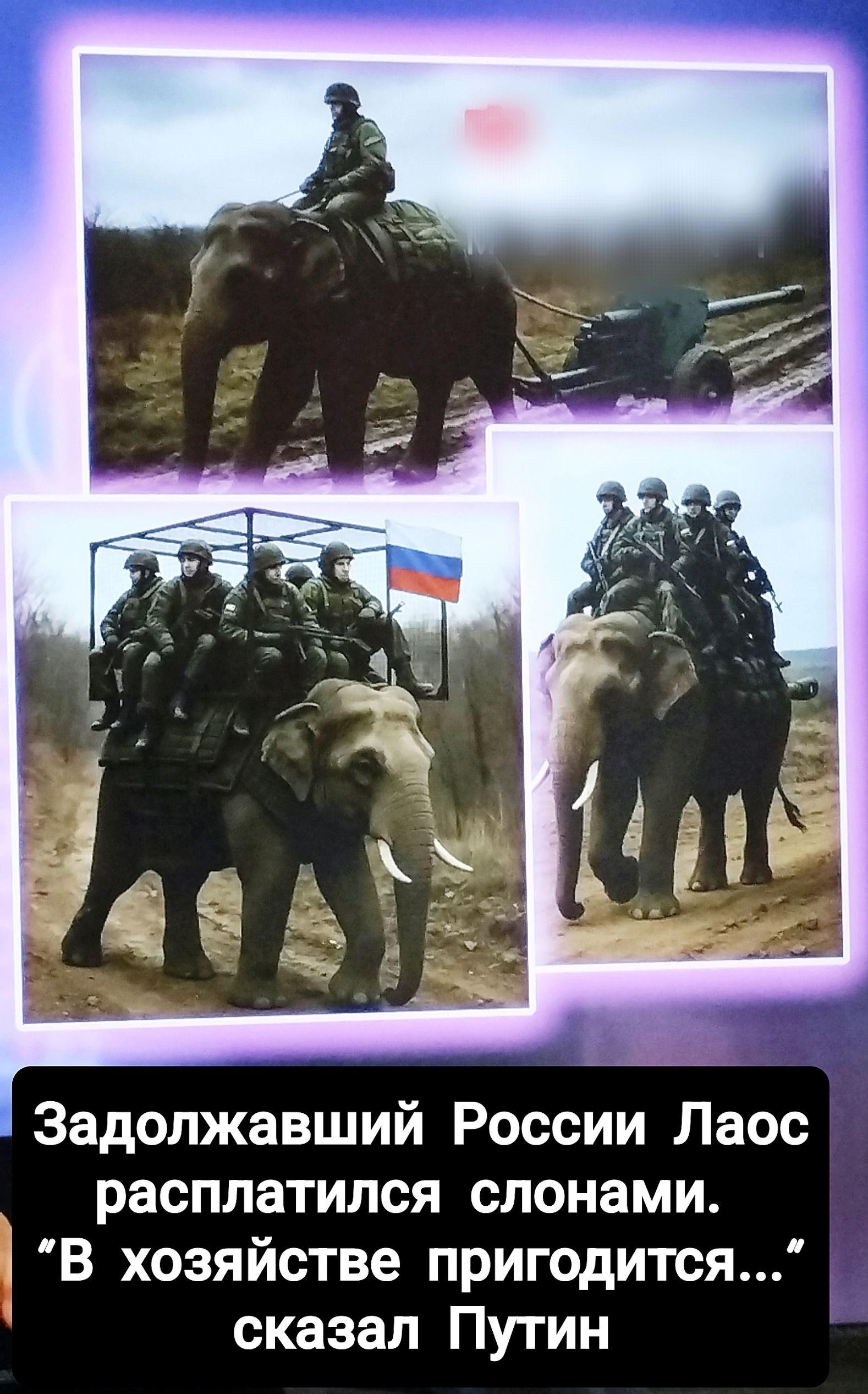 Задолжавший России Лаос расплатился слонами. 