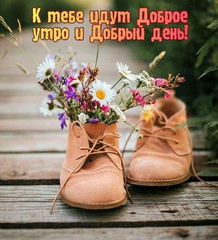 К тебе идут Доброе утро и Добрый день!