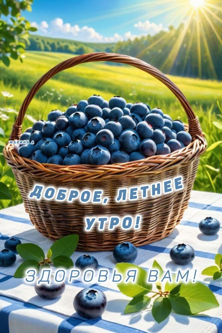 ДОБРОЕ, ЛЕТНЕЕ УТРО! ЗДОРОВЬЯ ВАМ!