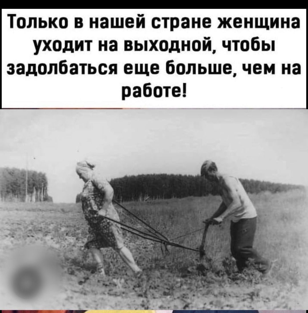 Только в нашей стране женщина уходит на выходной, чтобы задолбаться еще больше, чем на работе!