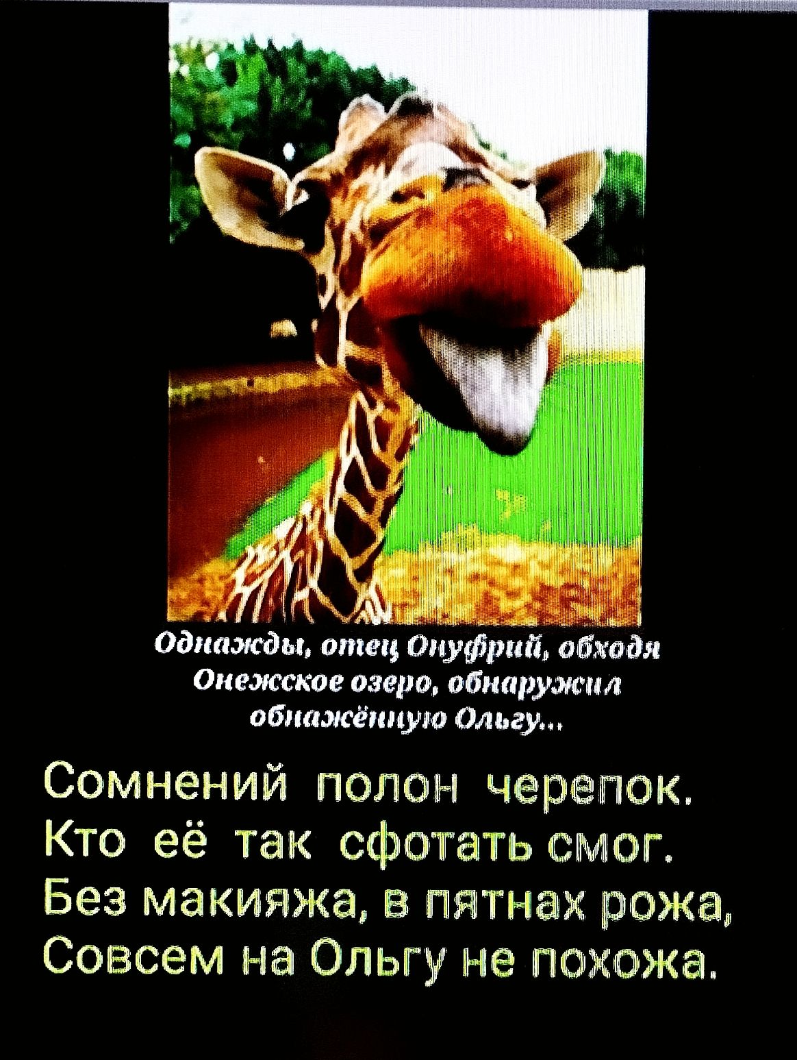 Однажды, отец Онуфрий, обходя Онежское озеро, обнаружил обнаженную Ольгу...

Сомнительный полон черепок. Кто её так сфотать смог. Без макияжа, в пятнах рожа, Совсем на Ольгу не похожа.