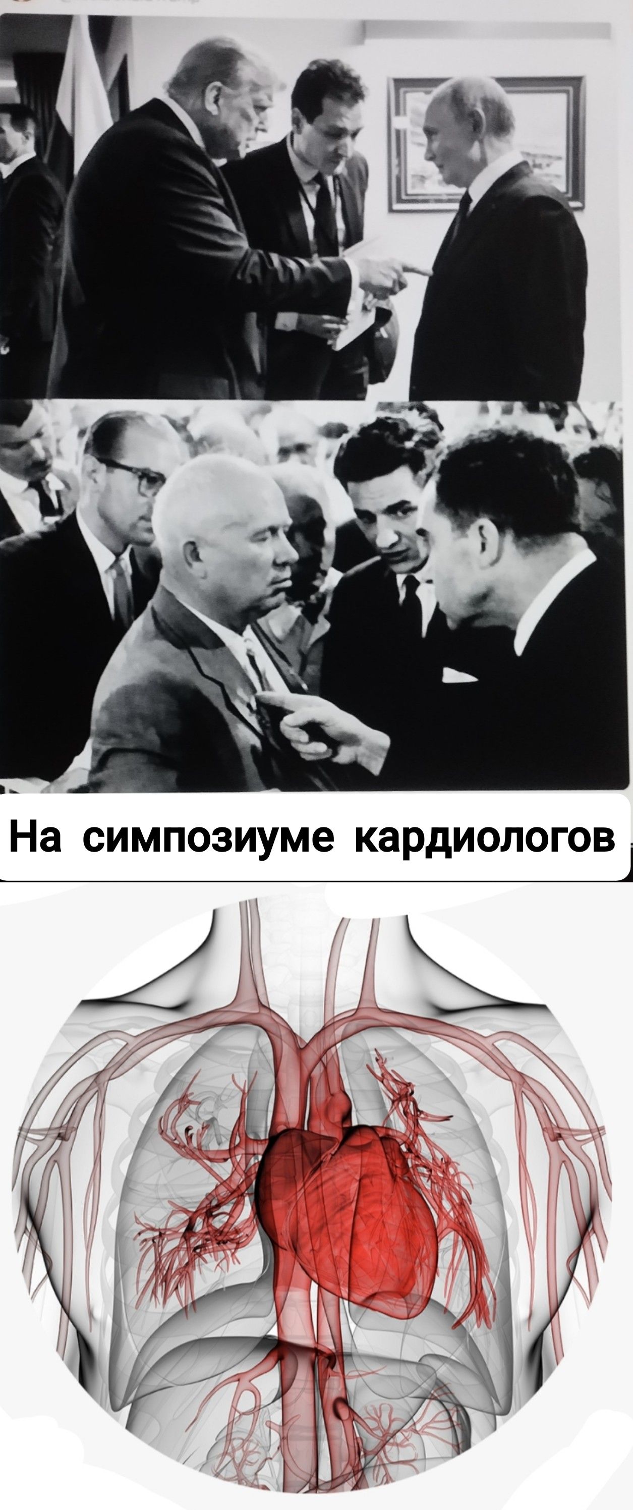 На симпозиуме кардиологов