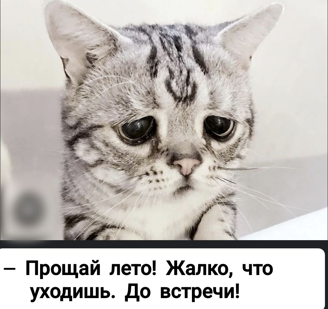 – Прощай лето! Жалко, что уходишь. До встречи!