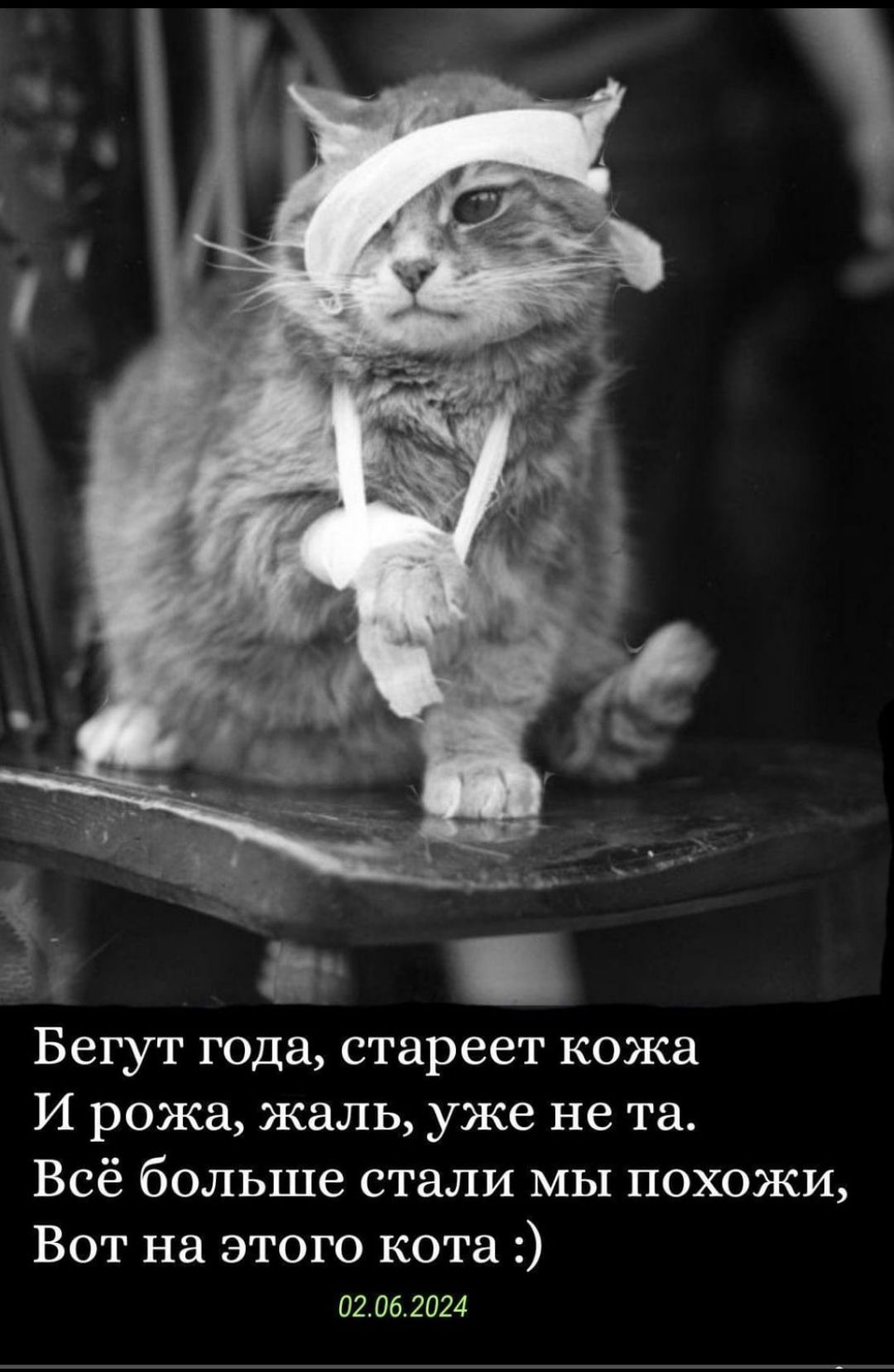 Бегут года, стареет кожа
И рожа, жаль, уже не та.
Всё больше стали мы похожи,
Вот на этого кота :)