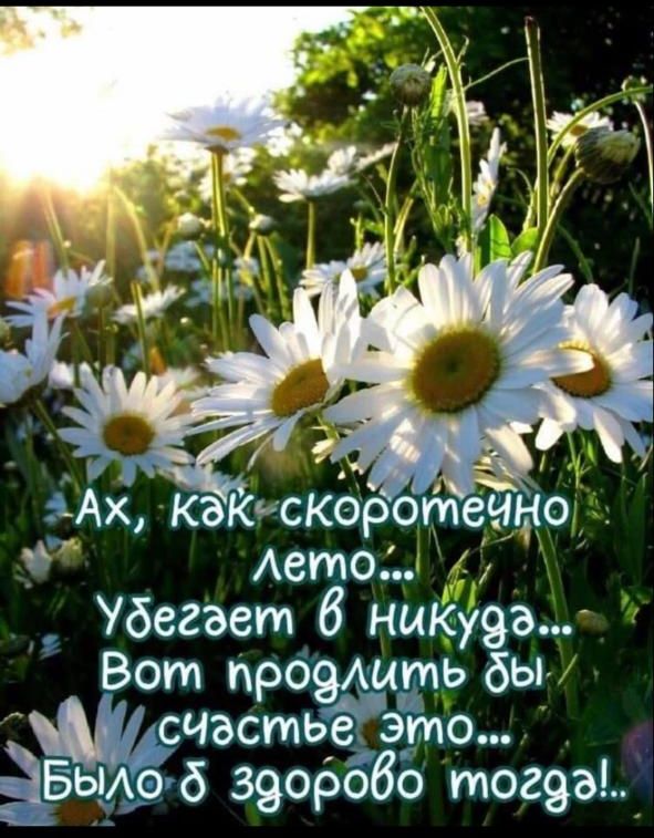 Ах, как скоротечно лето...
Убегает в никуда...
Вот продлить бы счастье это...
Было б здорово тогда!