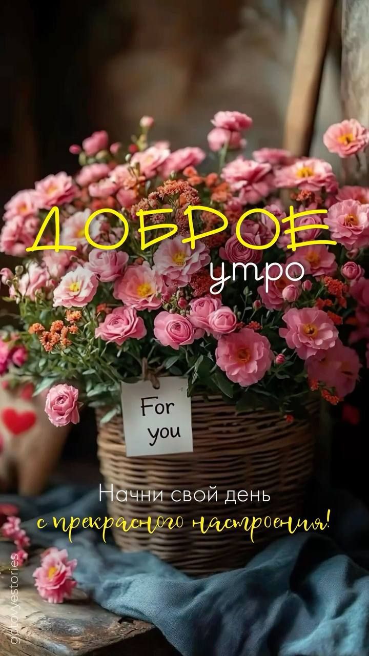 ДОБРОЕ утро
Начни свой день с прекрасного настроения!