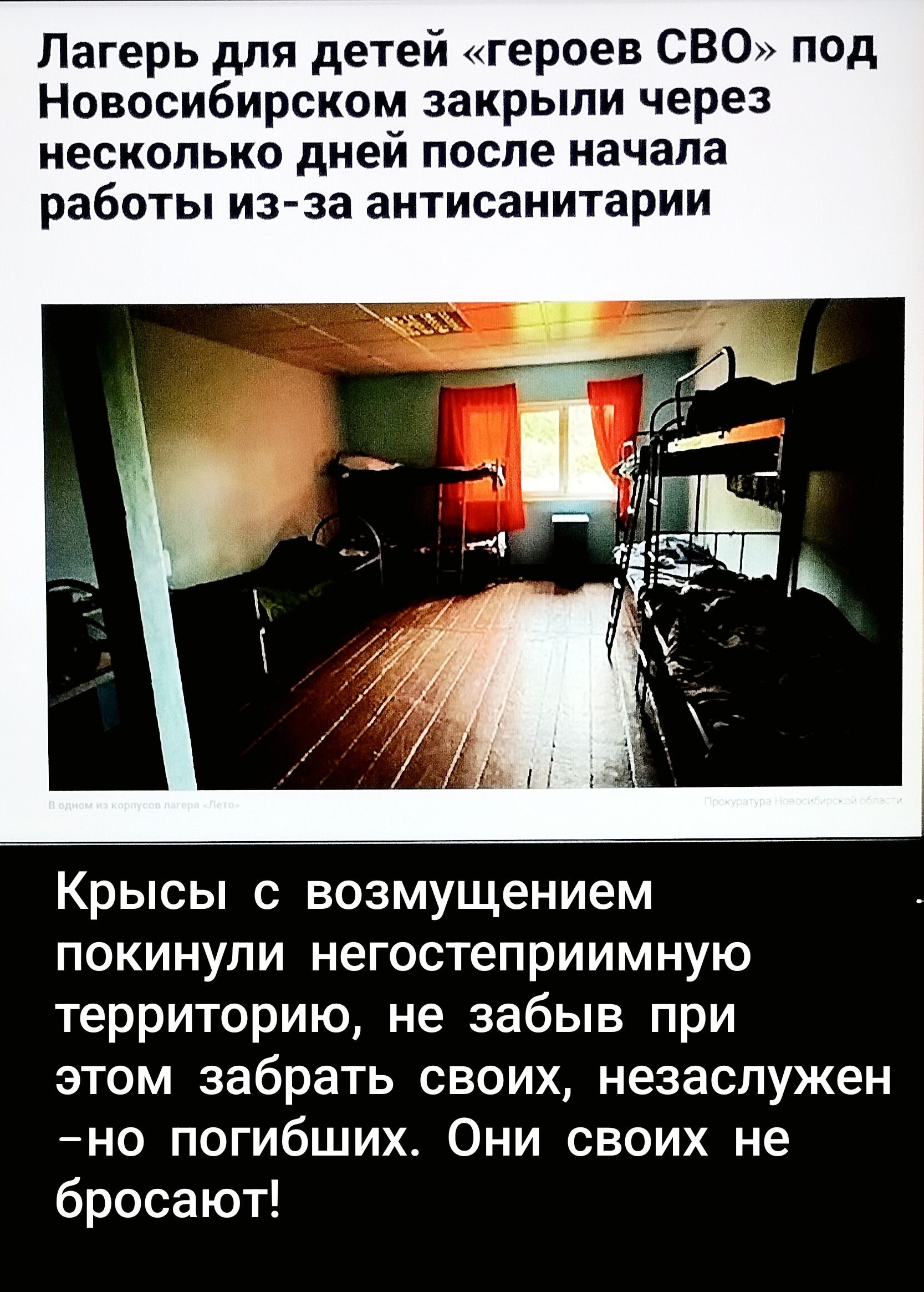 Лагерь для детей «героев СВО» под Новосибирском закрыли через несколько дней после начала работы из-за антисанитарии

Крысы с возмущением покинули негостеприимную территорию, не забыв при этом забрать своих, незаслужен – погибших. Они своих не бросают!