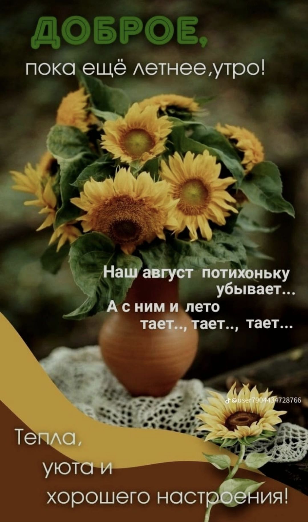 ДОБРОЕ, пока ещё летнее утро!
Наш август потихоньку убивает...
А с ним и лето тает,, тает,, тает...
Тепла, уюта и хорошего настроения!