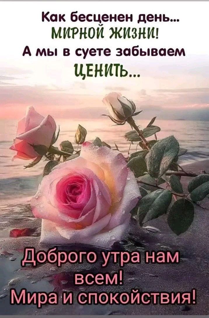 Как бесценен день... МИРНОЙ ЖИЗНИ! А мы в суете забываем ЦЕНИТЬ... Доброего утра нам всем! Мира и спокойствия!