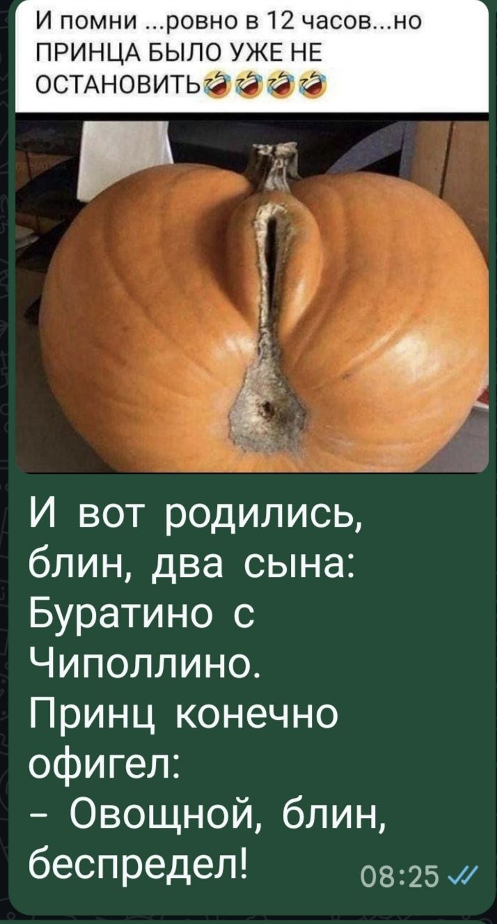 И помни ... ровно в 12 часов... но ПРИНЦА БЫЛО УЖЕ НЕ ОСТАНОВИТЬ 😂😂😂 И вот родились, блин, два сына: Буратино с Чиполино. Принц конечно офигел: – Овощной, блин, беспредел!