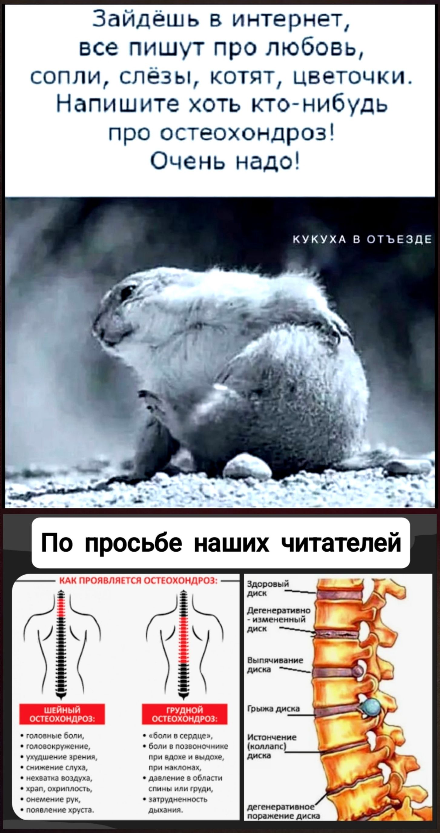 Зайдишь в интернет, все пишут про любовь, сопли, слёзы, котят, цветочки. Напишите хоть кто-нибудь про остеохондроз! Очень надо! По просьбе наших читателей Как проявляется остеохондроз: шейный остеохондроз, грудной остеохондроз.
