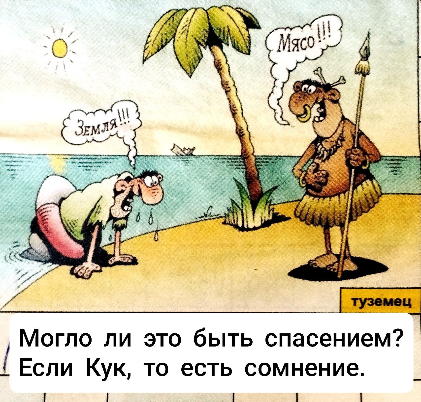 Могло ли это быть спасением? Если Кук, то есть сомнение.