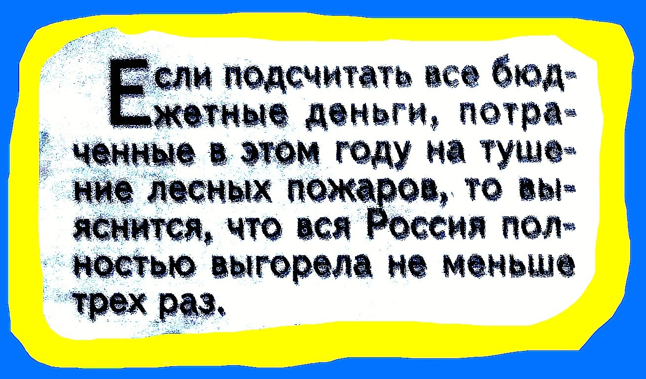 Если подсчитать все бюджетные деньги, потраченные в этом году на тушение лесных пожаров, то выяснится, что вся Россия полностью выгорела не меньше трех раз.