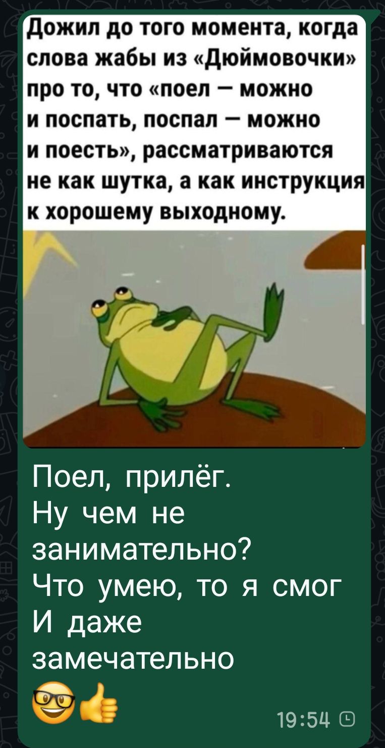 Дожил до того момента, когда слова жабы из «Дюймовочки» про то, что «поел – можно и поспать, поспал – можно и поесть», рассматриваются не как шутка, а как инструкция к хорошему выходному.
Поел, прилёг.
Ну чем не занимательно?
Что умею, то я смог
И даже замечательно