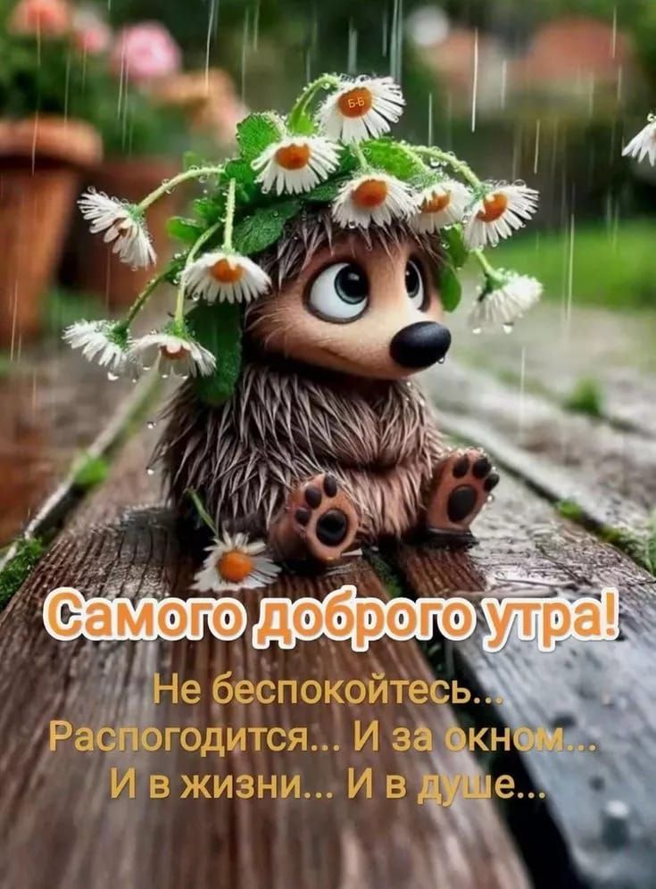Самого доброго утра! Не беспокойтесь... Распогодится... И за окном... И в жизни... И в душе...
