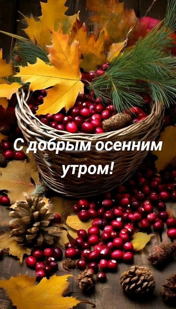 С добрым осенним утром!