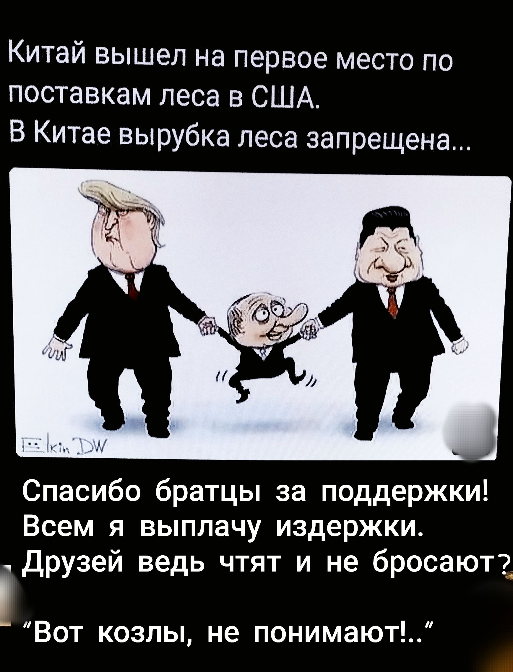Китай вышел на первое место по поставкам леса в США. В Китае вырубка леса запрещена...
Спасибо братцы за поддержки! Всем я выплачу издержки. Друзей ведь чтят и не бросают?
