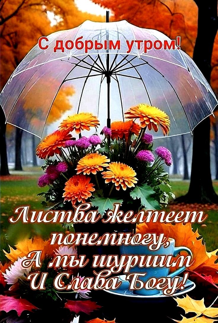 С добрым утром! Листва желтеет понемногу, А ты шуршишь И Слава Богу!