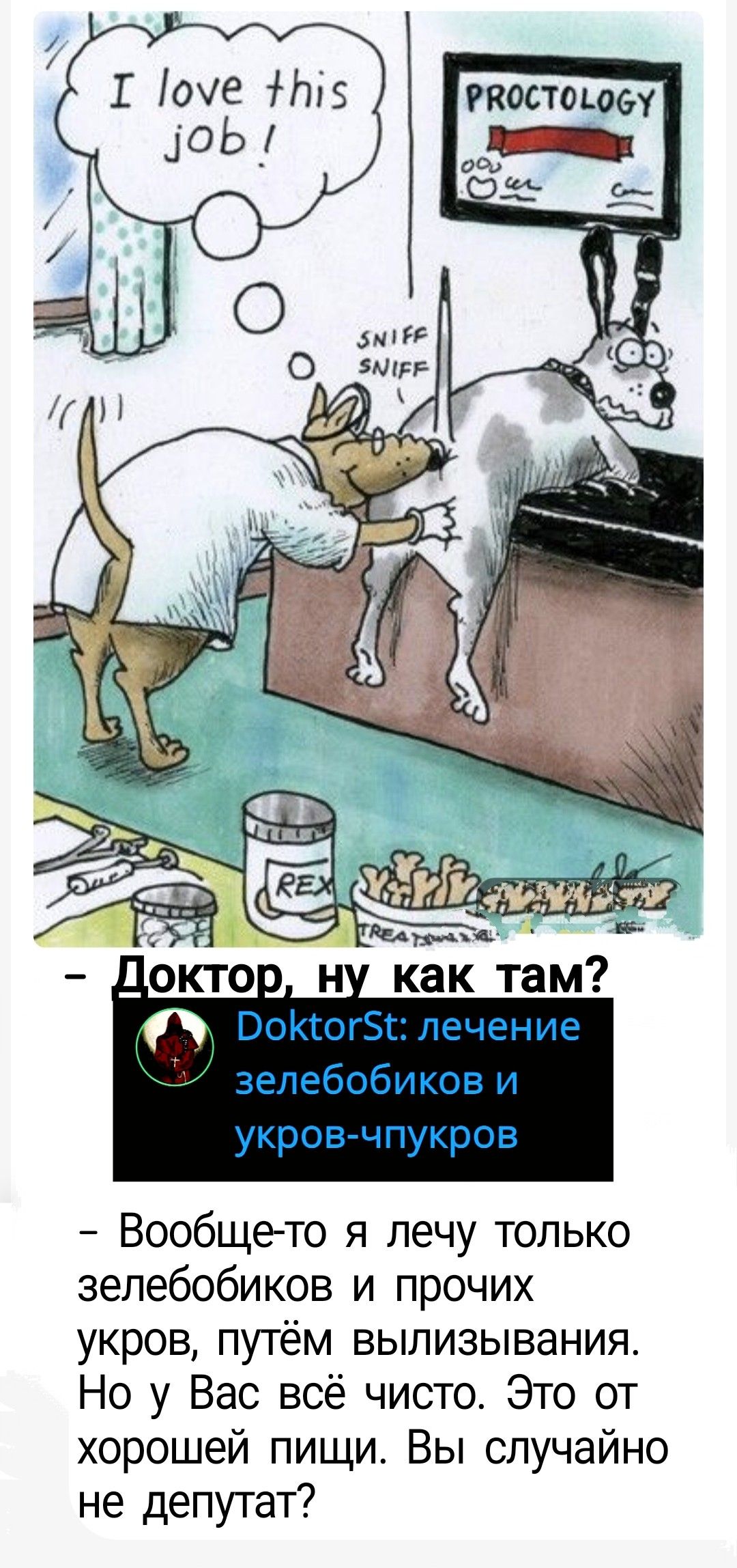 I love this job!
PROCTOLOGY
- Доктор, ну как там?
- DoktorSt: лечение зебелобиков и укров-чпукров
- Вообще-то я лечу только зебелобиков и прочих укров, путём вылизивания. Но у Вас всё чисто. Это от хорошей пищи. Вы случайно не депутат?
