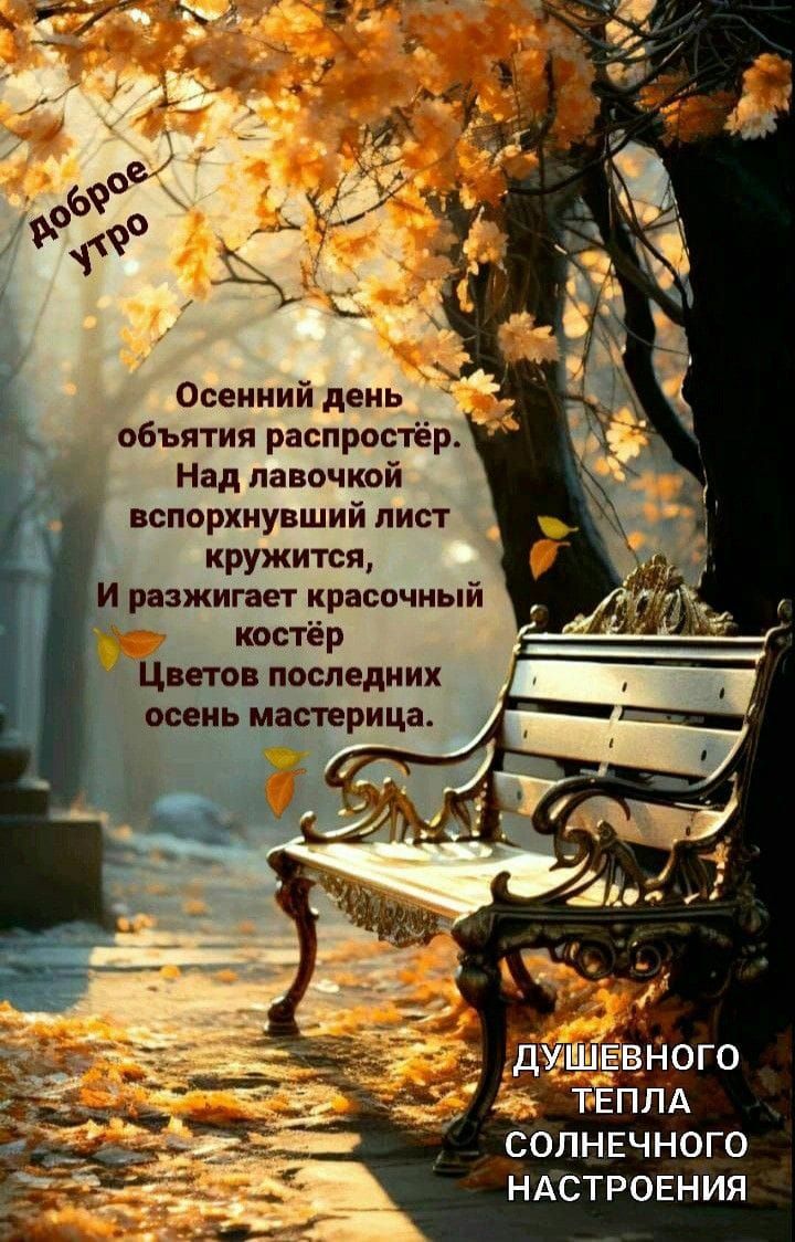 Доброе утро

Осенний день
объятия распростирал,
Над лавочкой
вспорхнувший лист
кружится,
И разжигает красочный
костёр
Цветов последних
осень мастерия.

Душевного
тепла
солнечного
настроения