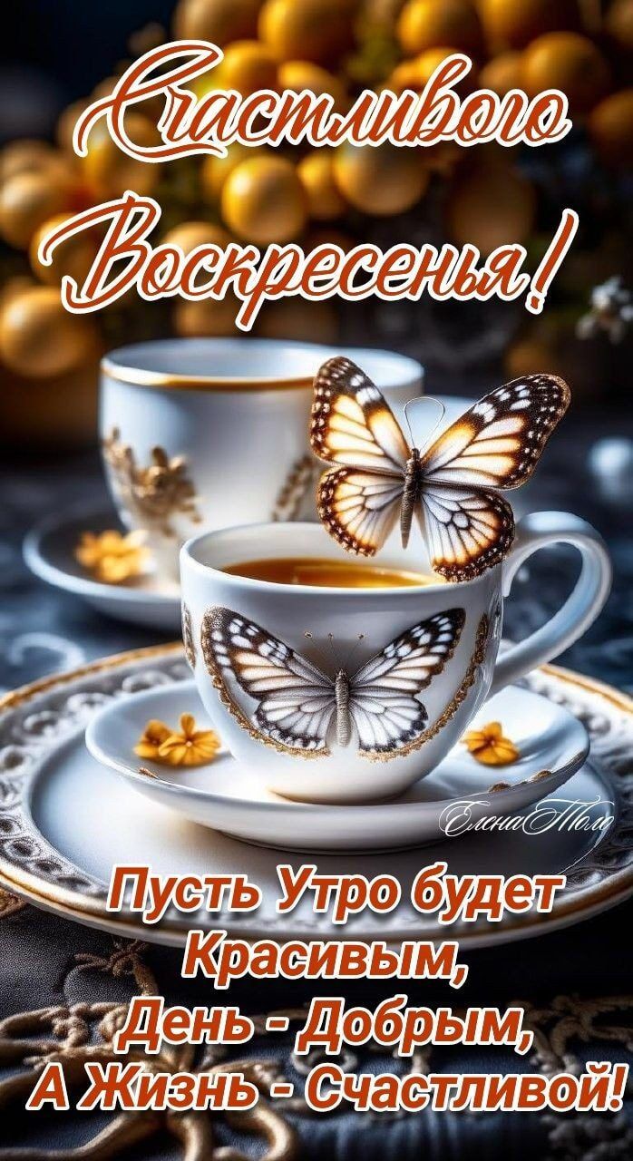 Счастливого Воскресенья! Пусть Утро будет Красивым, День - Добрым, А Жизнь - Счастливой!