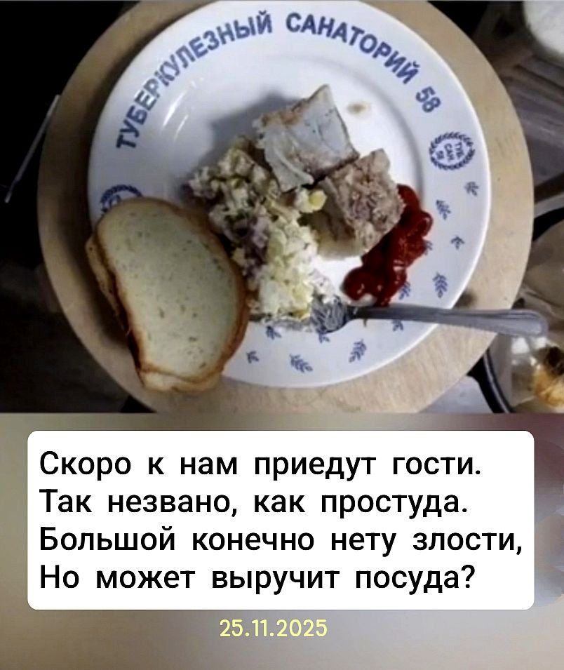 Скоро к нам приедут гости. Так незвано, как простуда. Большой конечно нету злости, Но может выручит посуда? 25.11.2025