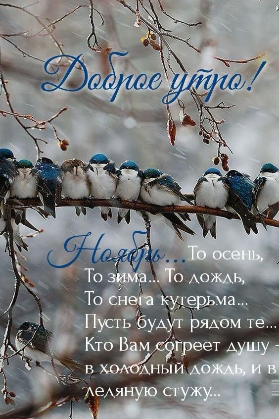 Доброе утро! Иногда... То осень, То зима.. То дождь, То снег а кутерьма... Пусть будут рядом те... Кто Вам согреет душу - в холодный дождь, и в ледяную стужу...