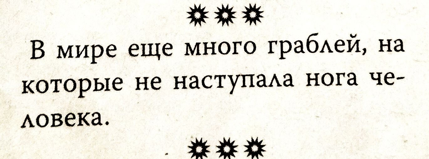 В мире еще много грабелей, на которые не наступала нога человека.