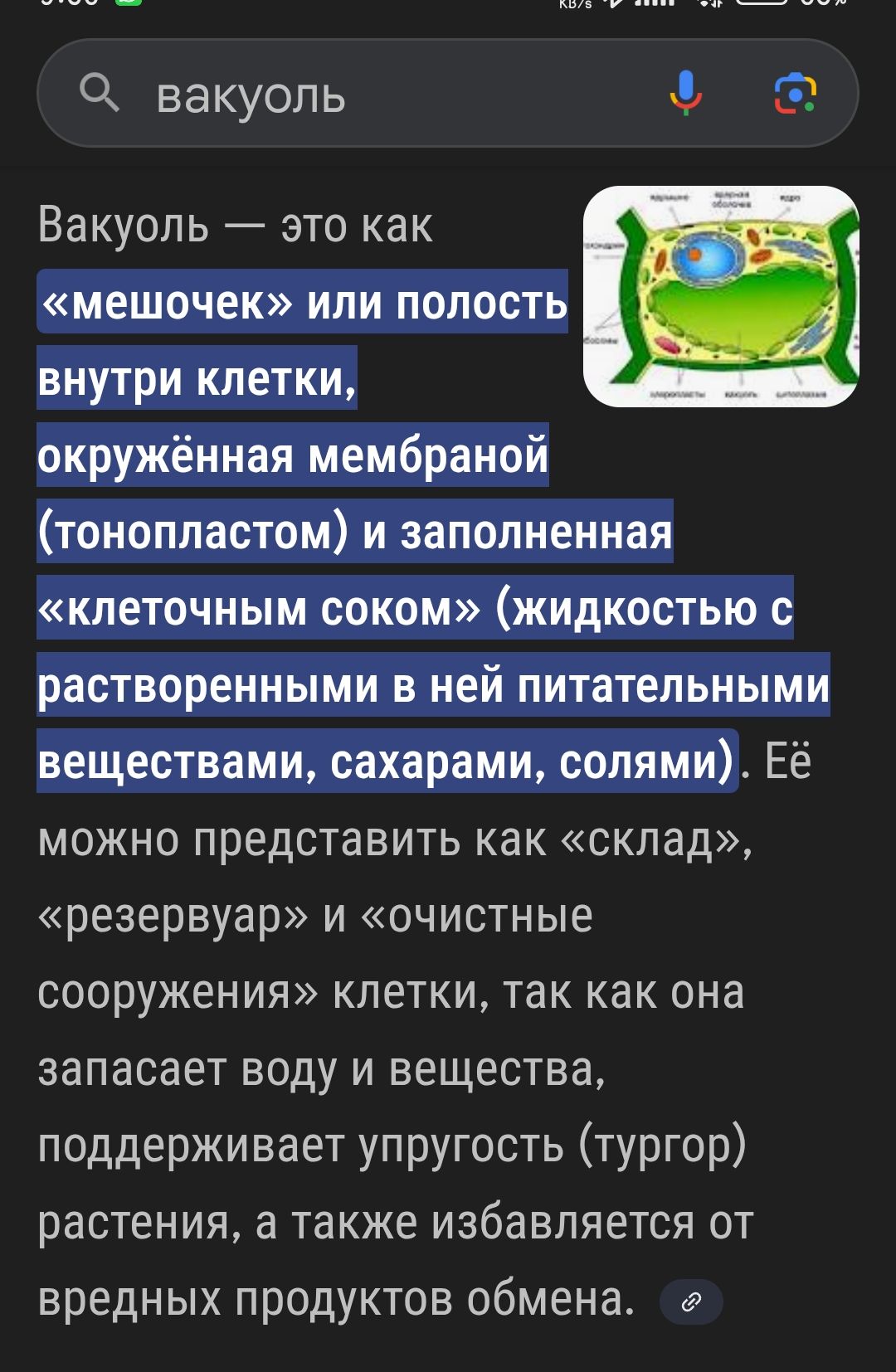 Вакуоль — это как «мешочек» или полость внутри клетки, окружённая мембраной (тонопластом) и заполненная «клеточным соком» (жидкостью с растворенными в ней питательными веществами, сахарами, солями). Её можно представить как «склад», «резервуар» и «очистные сооружения» клетки, так как она запасает воду и вещества, поддерживает упругость (тургор) растения, а также избавляется от вредных продуктов обмена.