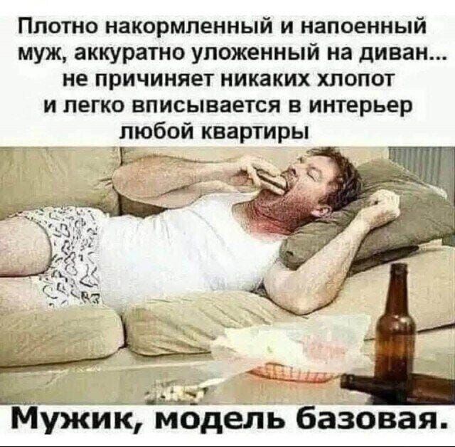 Плотно накормленный и напоенный муж, аккуратно уложенный на диван... не причиняет никаких хлопот и легко вписывается в интерьер любой квартиры\nМужик, модель базовая.