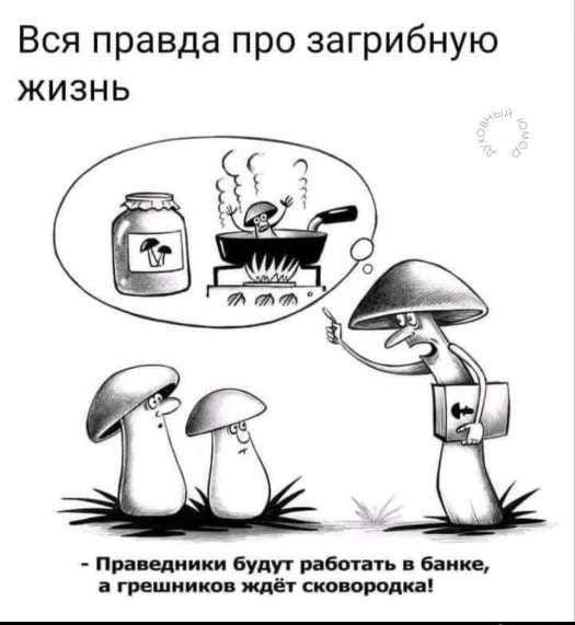 Вся правда про загибную жизнь
- Праведники будут работать в банке, а грешников ждёт сковородка!