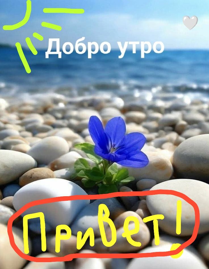 Добро утро
Привет!