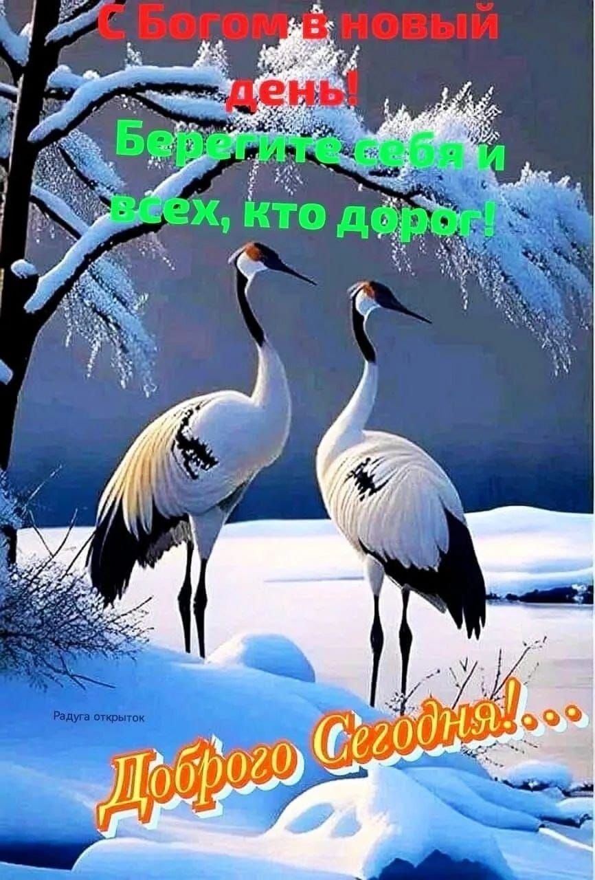 С Богом в новый день! Берегите себя и всех, кто дорог! Доброго Сегодня!