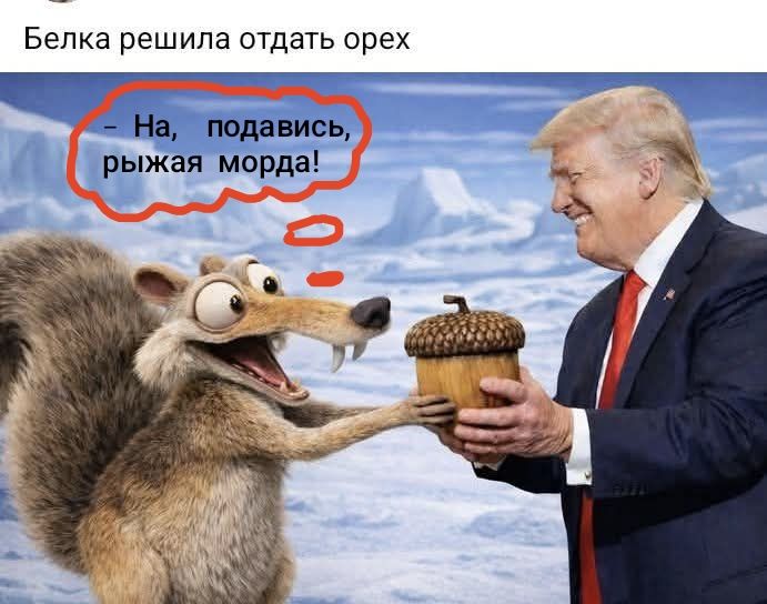 Белка решила отдать орех. На, подавись, рыжая морда!