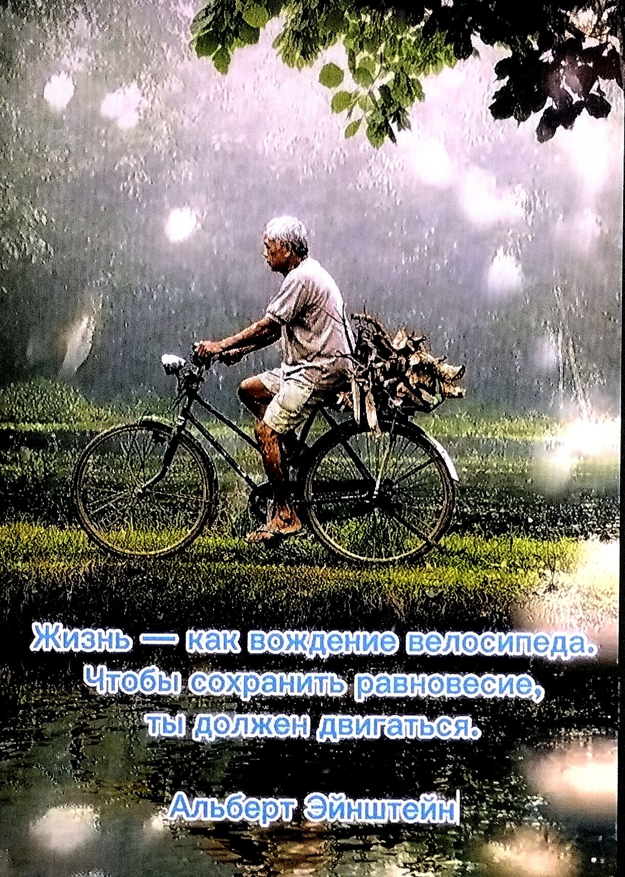 Жизнь — как вождение велосипеда. Чтобы сохранить равновесие, ты должен двигаться. Альберт Эйнштейн