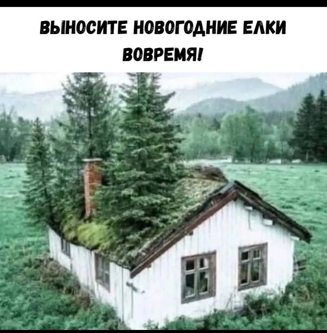 ВЫНОСИТЕ НОВОГОДНИЕ ЕЛКИ ВОВРЕМЯ!