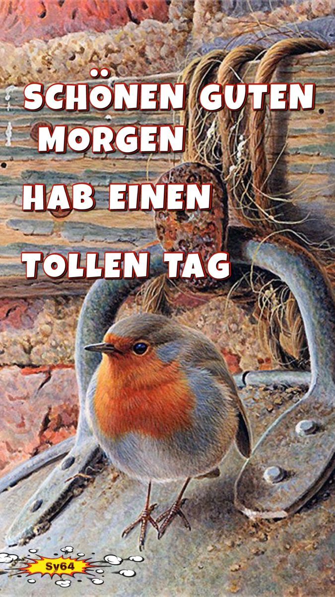 SCHÖNEN GUTEN MORGEN HAB EINEN TOLLEN TAG