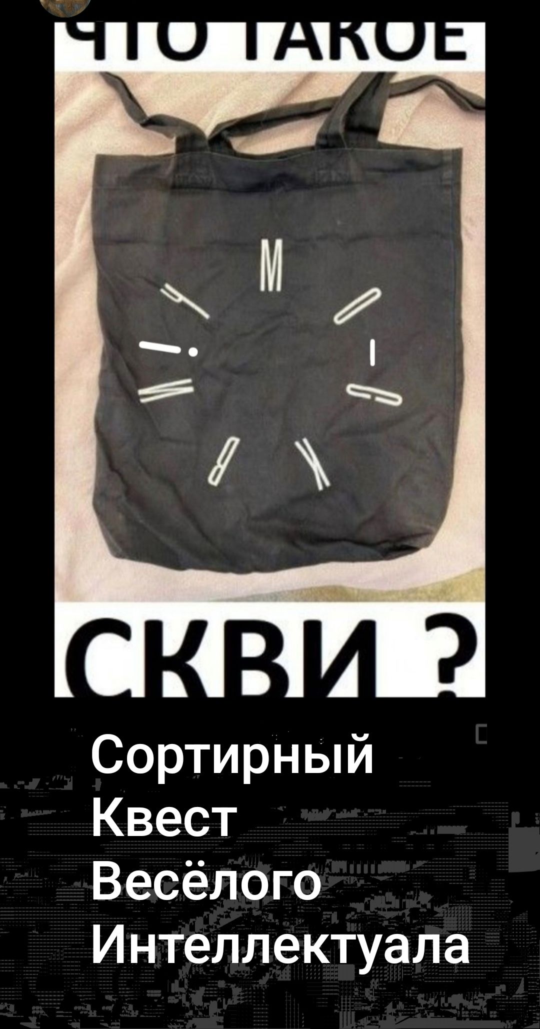 ЧТО ТАКОЕ СКВИ? Сортирный Квест Весёлого Интеллектуала